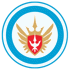 Novara Calcio Youth Logo đội