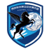 Taizhou Morning Tea Dark Horse Logo đội