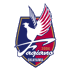 Fagiano Okayama
