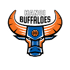 Hanoi buffalo Logo đội