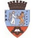 CSM Oradea Logo đội