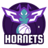 Charlotte Hornets Logo đội